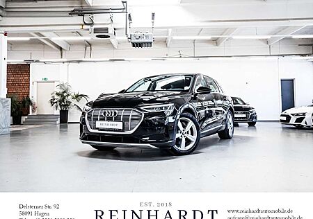 Audi e-tron 55 20Z./KAM/ACC/DAB/SHZ/ASSISTENZP.-TOUR