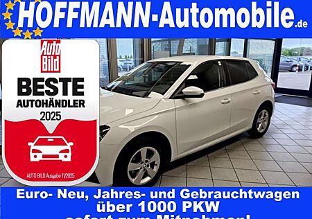 Skoda Fabia Selection Climatr.,PDC,Alu,Sitzhzg.,AppCon