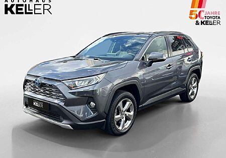 Toyota RAV 4 Hybrid 4x4 Team D *1.HAND*TechnikPaket*Navigation