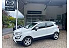 Ford EcoSport Cool & Connect Winter-Paket NAVI