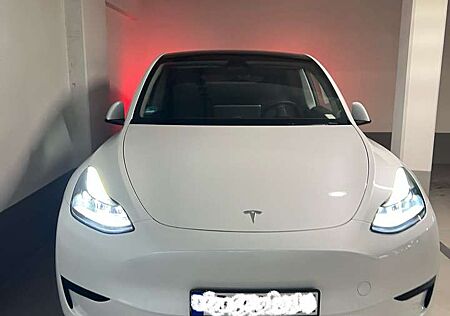 Tesla Model Y RWD