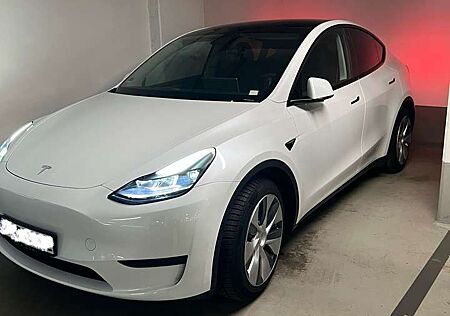 Tesla Model Y RWD
