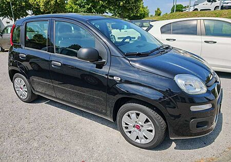 Fiat New Panda Easy 1.2 8V 51kW Klima-NSW-Allwetter-el. FH- FB ZV