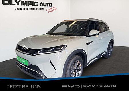 BYD ATTO 2 Boost, SHZ, NAVI, LEDER, LED, V2L, KAMERA