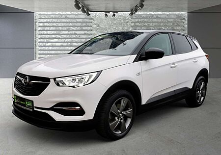 Opel Grandland X Edition Autom. Kamera|Winter-Paket