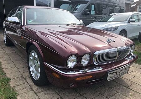 Jaguar Daimler Super V8