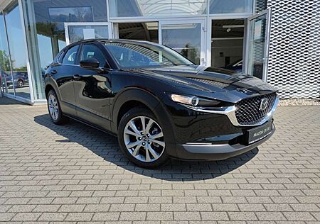 Mazda CX-30 Exclusive BOSE 360° Einparkhilfe LogIn Matrix Frei
