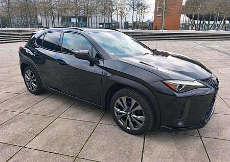 Lexus UX 250h F SPORT Hybrid 360 Kamera Mark Levinson
