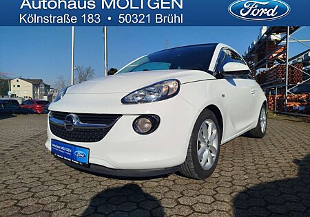 Opel Adam Open Air ecoFlex 1.4 *SHZ*PDC*Tempo*LRH*