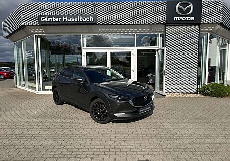 Mazda CX-30 AWD AHK 1. Hand 360° BOSE LogIn Matrix Klimaaut Si