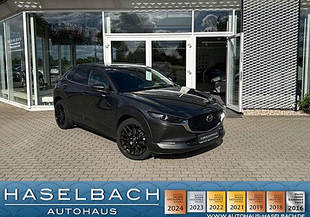 Mazda CX-30 AWD AHK 1. Hand 360° BOSE LogIn Matrix Klimaaut Si