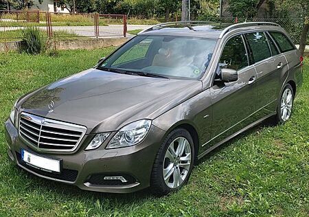 Mercedes-Benz E 250 T CGI Hinterachse+Luftfederung neu uvm...