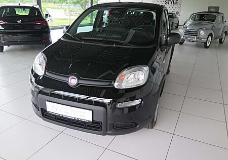 Fiat Panda Pandina