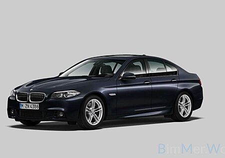 BMW 525 M Sport Glasdach HUD HiFi Fernlichtassists