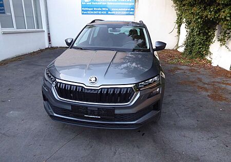 Skoda Karoq Style 4x4 TDI DSG 1 H. SH. AHK PDC Kamera