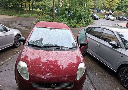 Fiat Punto gebraucht kaufen Fiat Punto 55 Sole