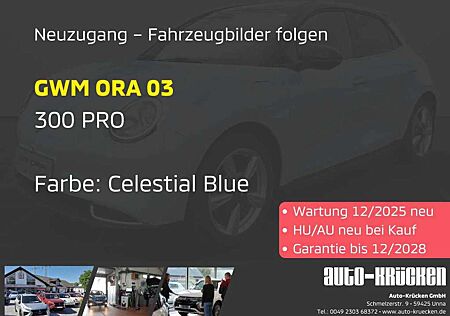 GWM Ora 03 300 PRO / Garnatie bis 12/28, Standh., 360°Kam.