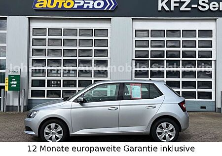 Skoda Fabia Ambition,1.Hand.Klimaautomatik,PDC,SHZ,