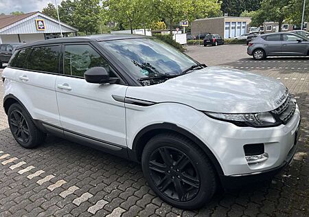 Land Rover Range Rover Evoque SD4 Aut. White Dynamic