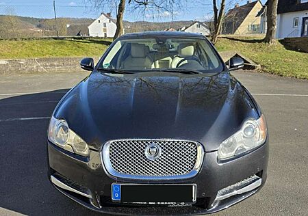 Jaguar XF Diesel 3.0 V6 Diesel Portfolio