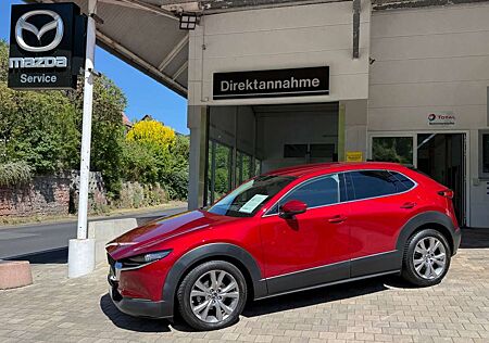 Mazda CX-30 Selektion M-Hybrid 150 Automatik Drive
