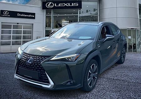 Lexus UX 250h Luxury Line ACC FLA HUD 360 SpurW Leder