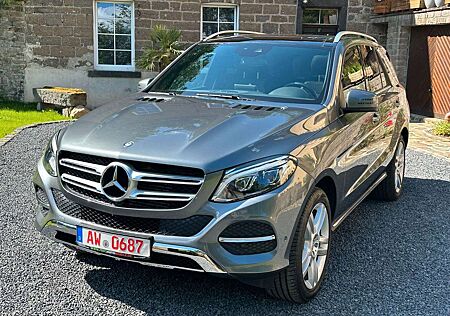 Mercedes-Benz GLE 250 d BlueTEC Airmatic Harman Kardon LED 20