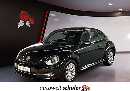 VW Beetle Volkswagen 1.4 TSI DSG Design Xenon Pano PDC SHZ