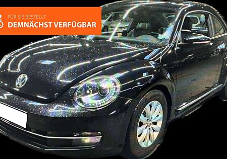 VW Beetle Volkswagen 1.4 TSI DSG Design Xenon Pano PDC SHZ