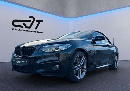 BMW 220 i MSPORT*CABRIO*H&K SOUND*PDC*SHZ*LEDER*