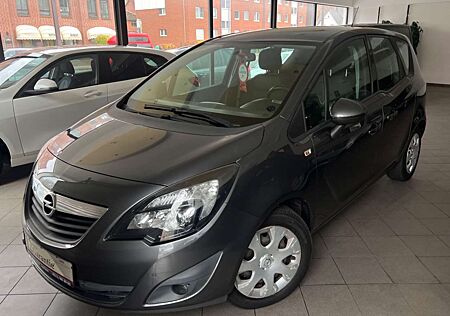 Opel Meriva B Edition ~MultiLenkrad~Tempomat~PDC~AUX~