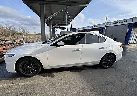 Mazda 3 Selection Fastback - 8fach bereift