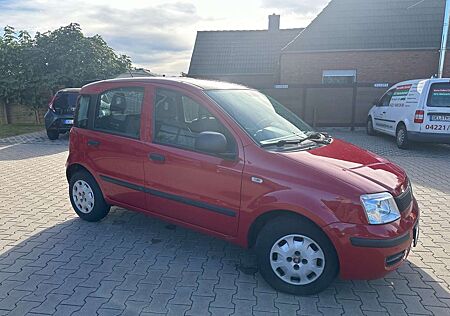 Fiat Panda 1.2 8V Classic, TÜV & Service NEU