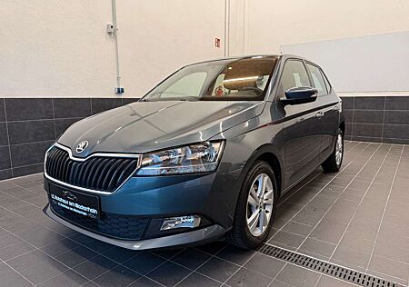 Skoda Fabia Ambition|KLIMA|KAMERA|HU NEU|SHZ|TSI|95PS|