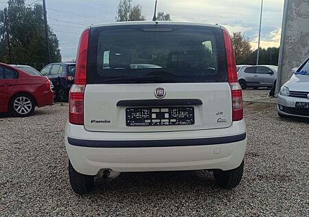 Fiat Panda gebraucht kaufen Fiat Panda 1.1 8V Active