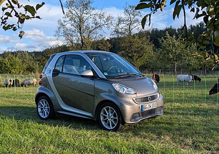 Smart ForTwo 451 Electric Drive, Leder, Pano, Tempomat