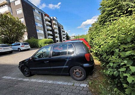 VW Polo Volkswagen 6n2