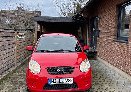 Kia Picanto 1.1 Vision