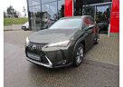 Lexus UX 250h Luxury Line Navi/Leder/4x4