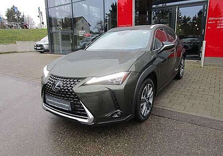 Lexus UX 250h Luxury Line Navi/Leder/4x4