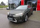 Lexus UX 250h Luxury Line Navi/Leder/4x4