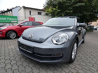 Volkswagen Beetle Basis
