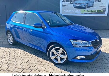 Skoda Fabia TSI 95 PS COOL +Sitzhzg/Park/60 TKM