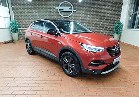 Opel Grandland X Sondermodell "Opel2020"- AHK