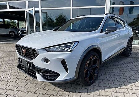 Cupra Formentor VZ 4Drive 2.0TSI DSG AHK Leder CUP Schiebedach