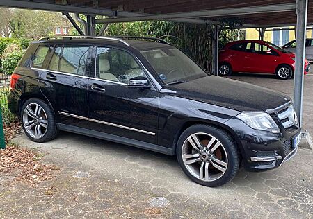 Mercedes-Benz GLK 220 CDI (BlueEFFICIENCY) 7G-TRONIC