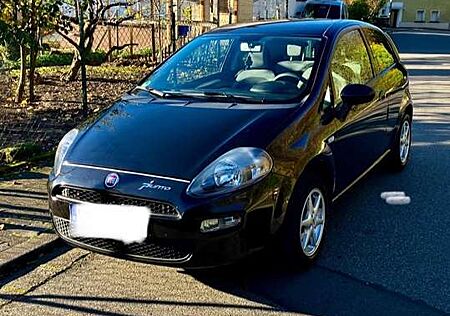 Fiat Punto Pop
