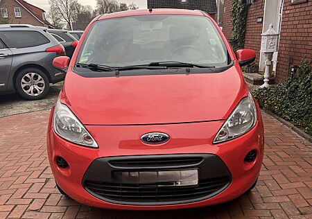 Ford Ka /+ 1.2 Trend Tüv 1 Hand
