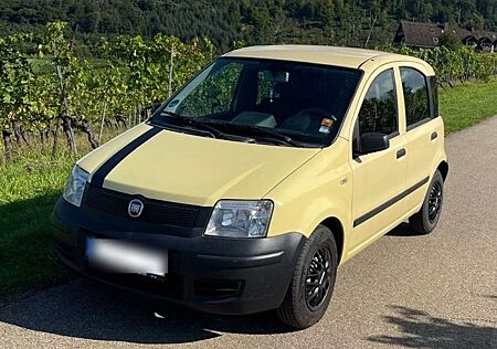 Fiat Panda gebraucht kaufen Fiat Panda 1.1 8V Active