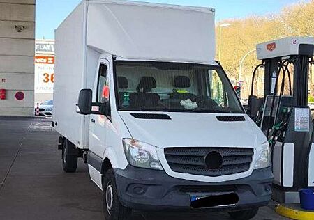 Mercedes-Benz Sprinter 313 CDI 906.133 WORKER